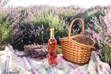Photo of Bottle of wine and basket on blanket in lavender field