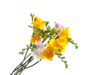 Photo of Beautiful colorful freesia flowers on white background