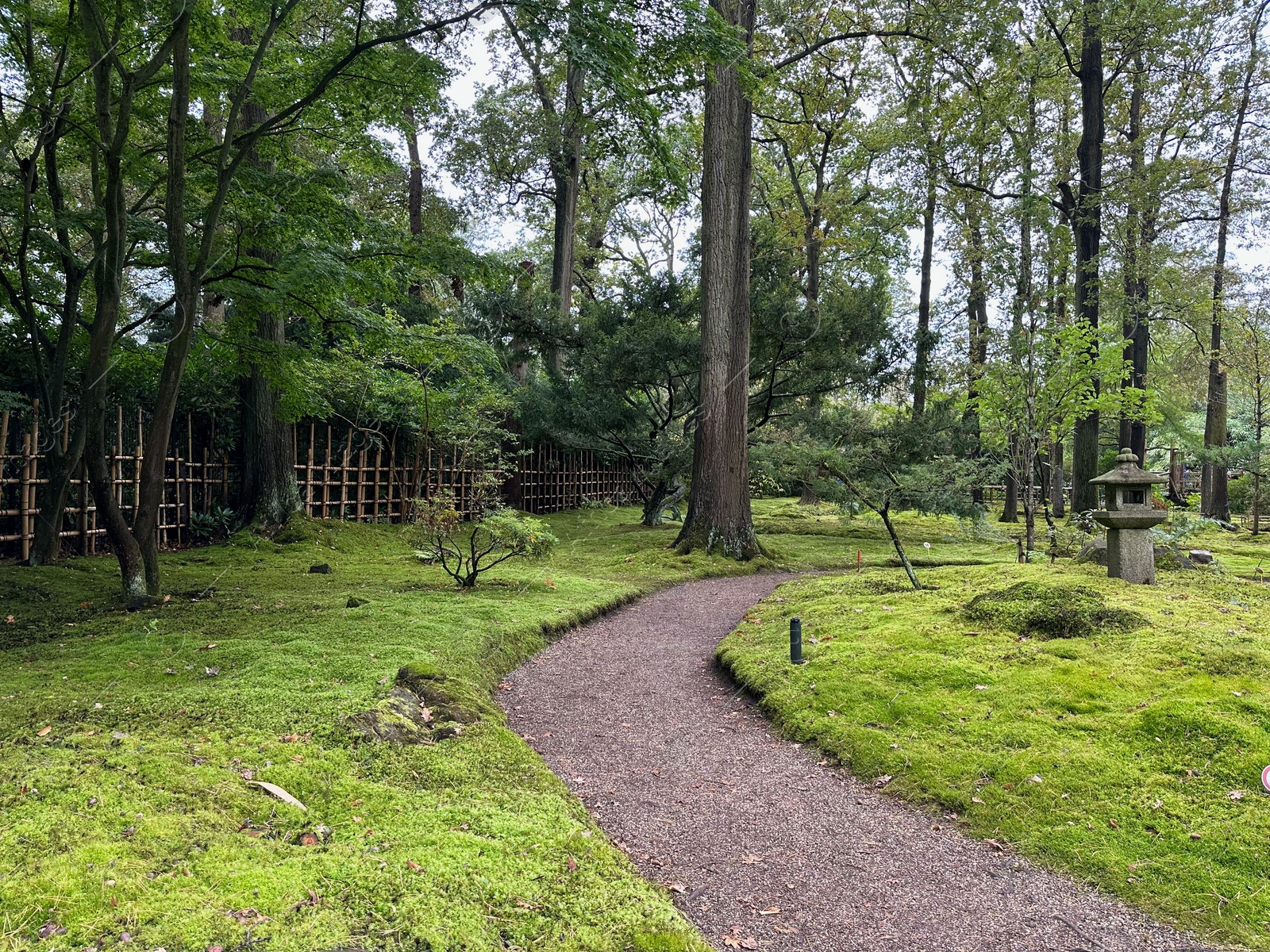 Photo of Bright moss, different plants, stone lantern and pathway in Japanese garden