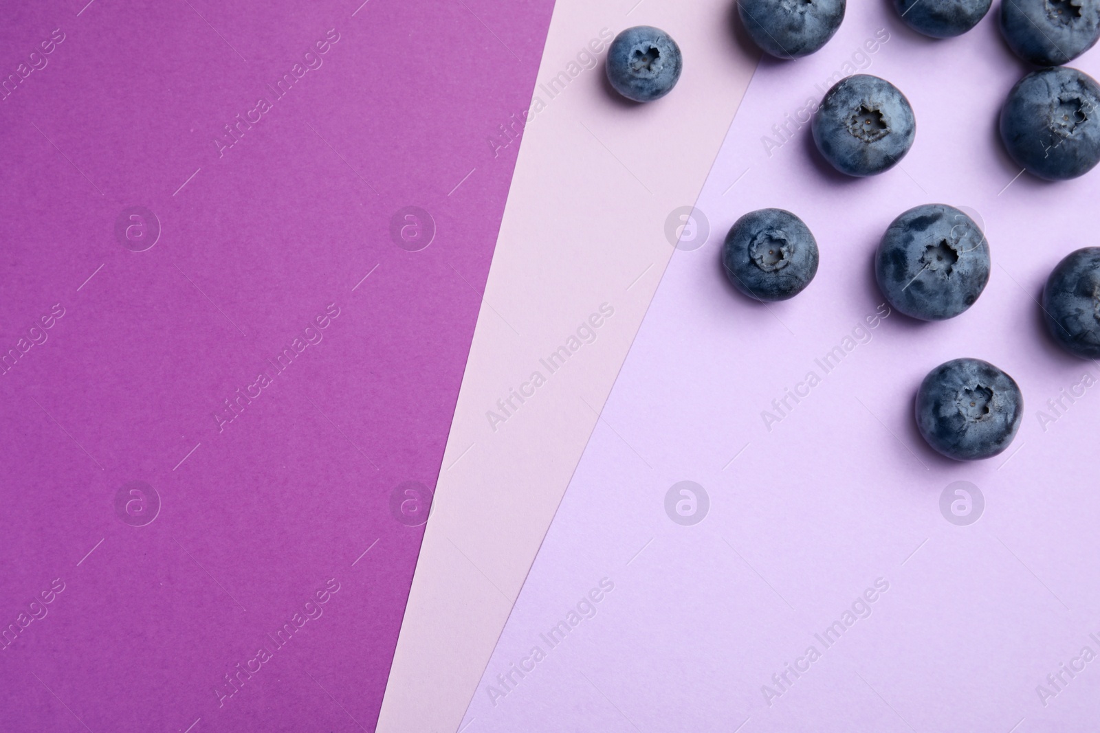 Photo of Flat lay composition with tasty blueberry and space for text on color background