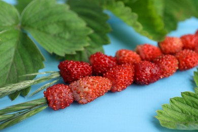 Photo of Grass stems with wild strawberries and leaves on light blue table, closeup