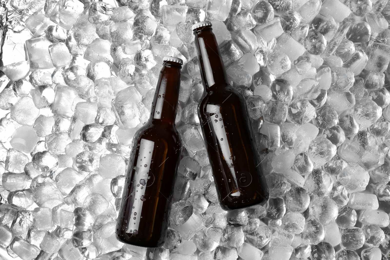 Photo of Bottles of beer on ice cubes, flat lay