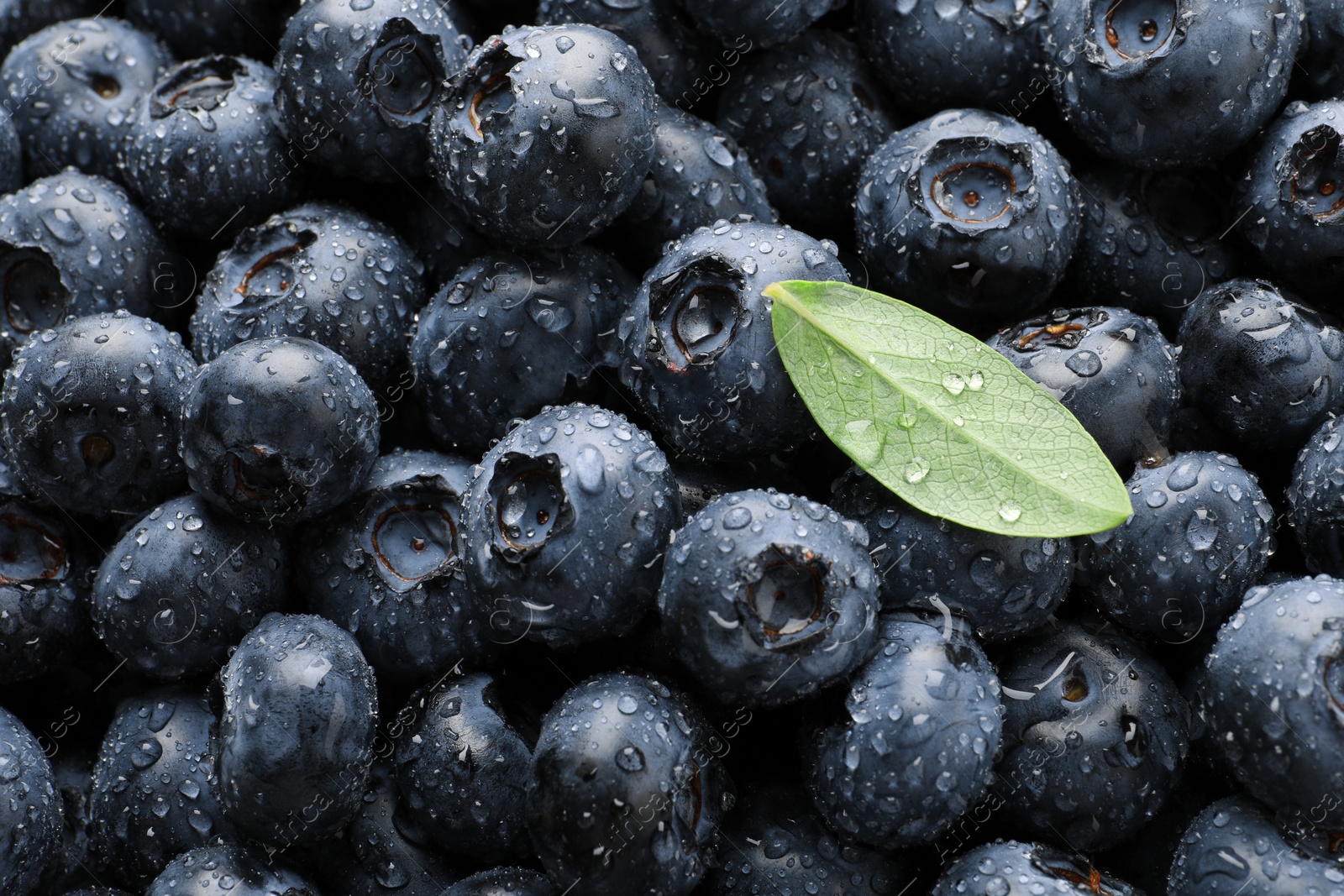 Photo of Wet fresh blueberries with green leaf as background, top view