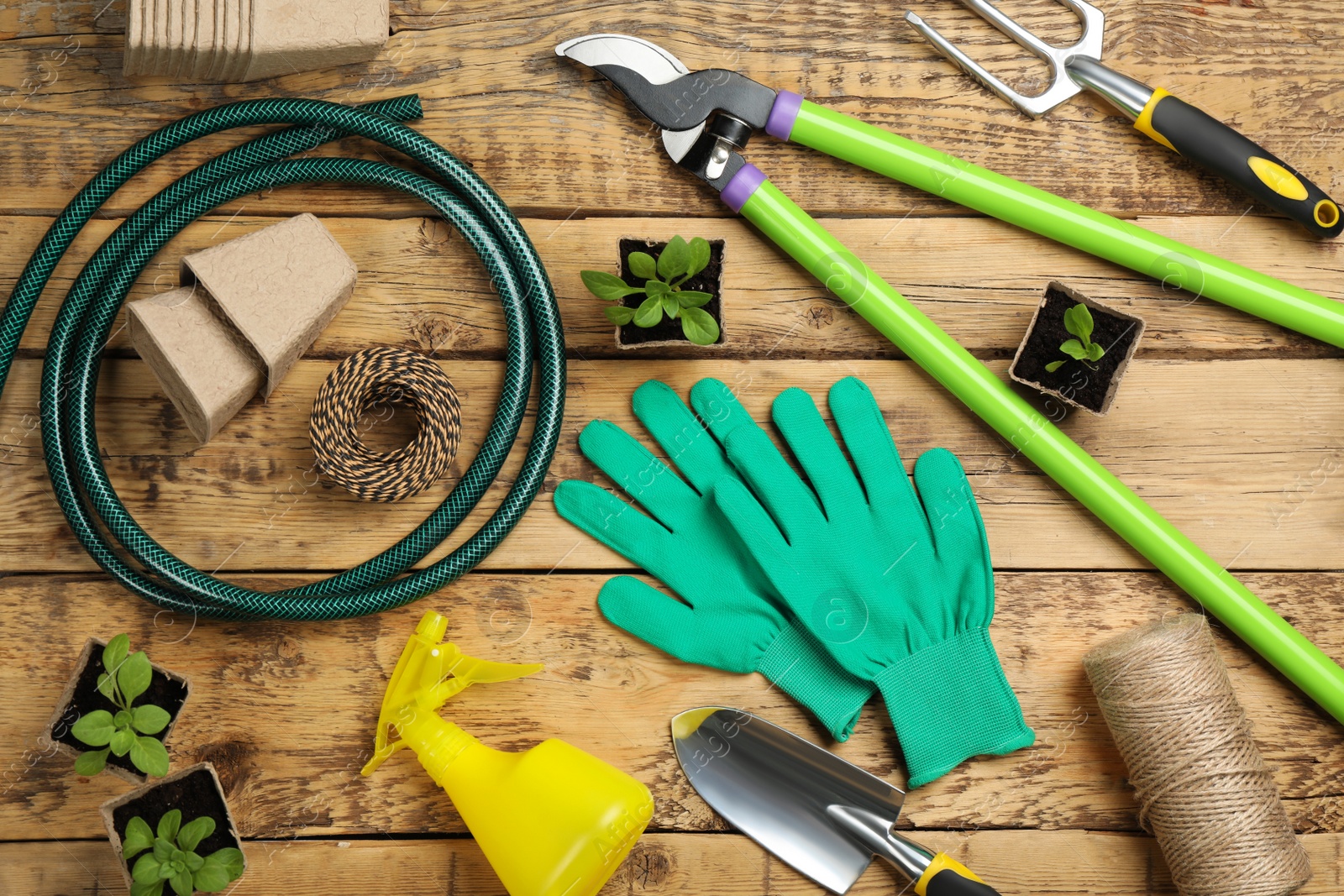 Photo of Flat lay composition with gardening tools and green plants on wooden background