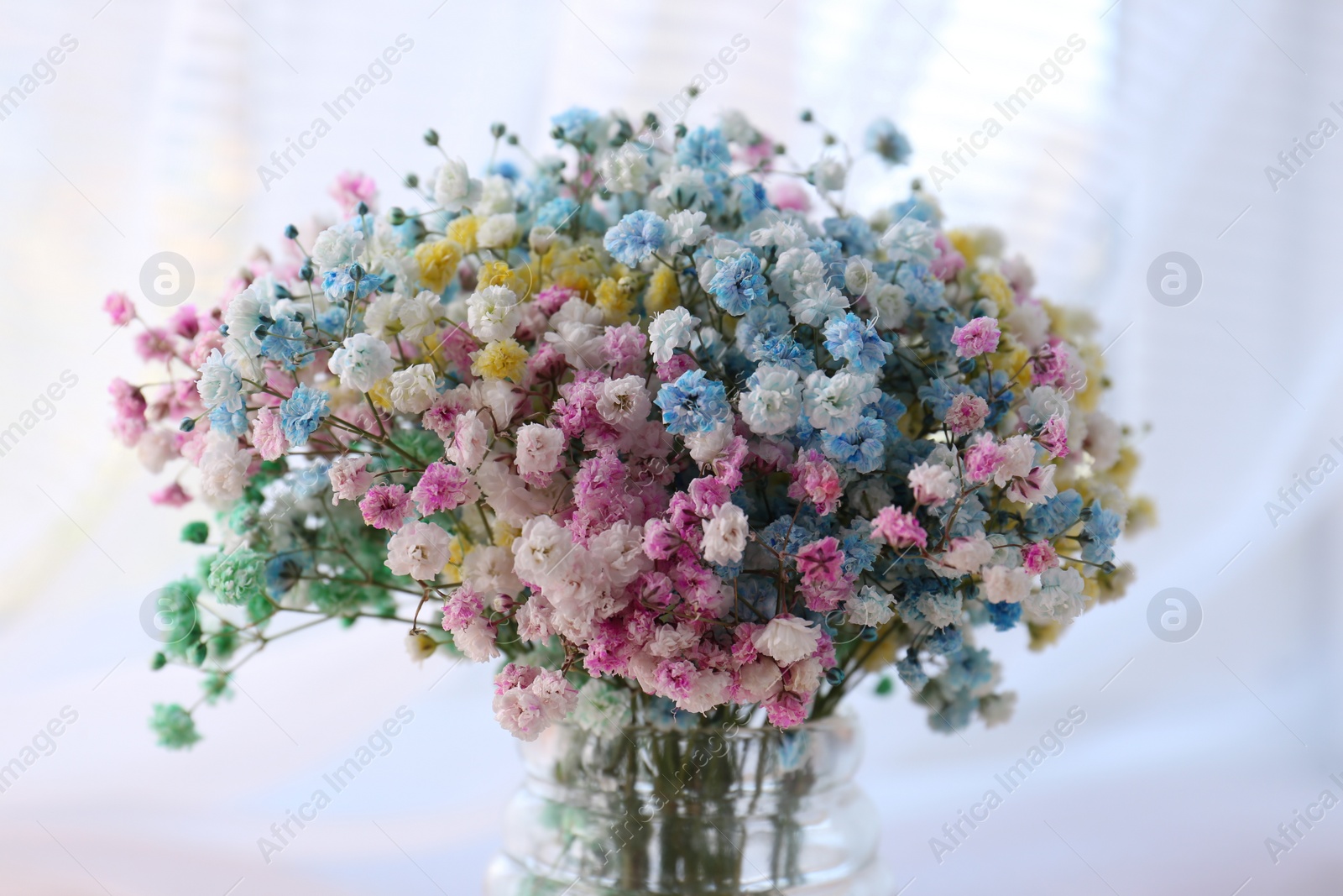 Photo of Beautiful gypsophila flowers in vase on blurred background, closeup