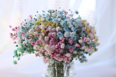 Beautiful gypsophila flowers in vase on blurred background, closeup