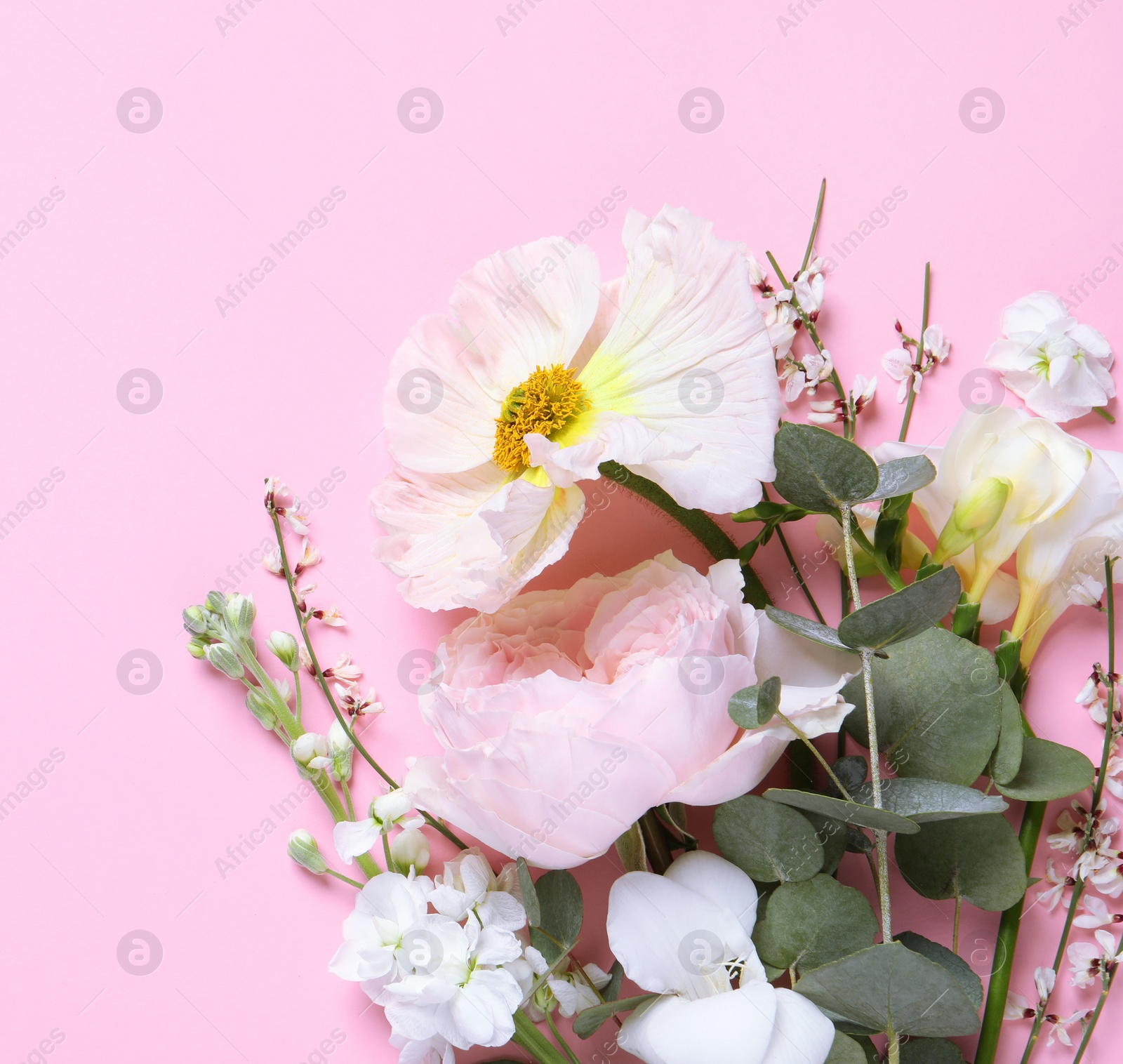 Photo of Different beautiful flowers on pink background, flat lay