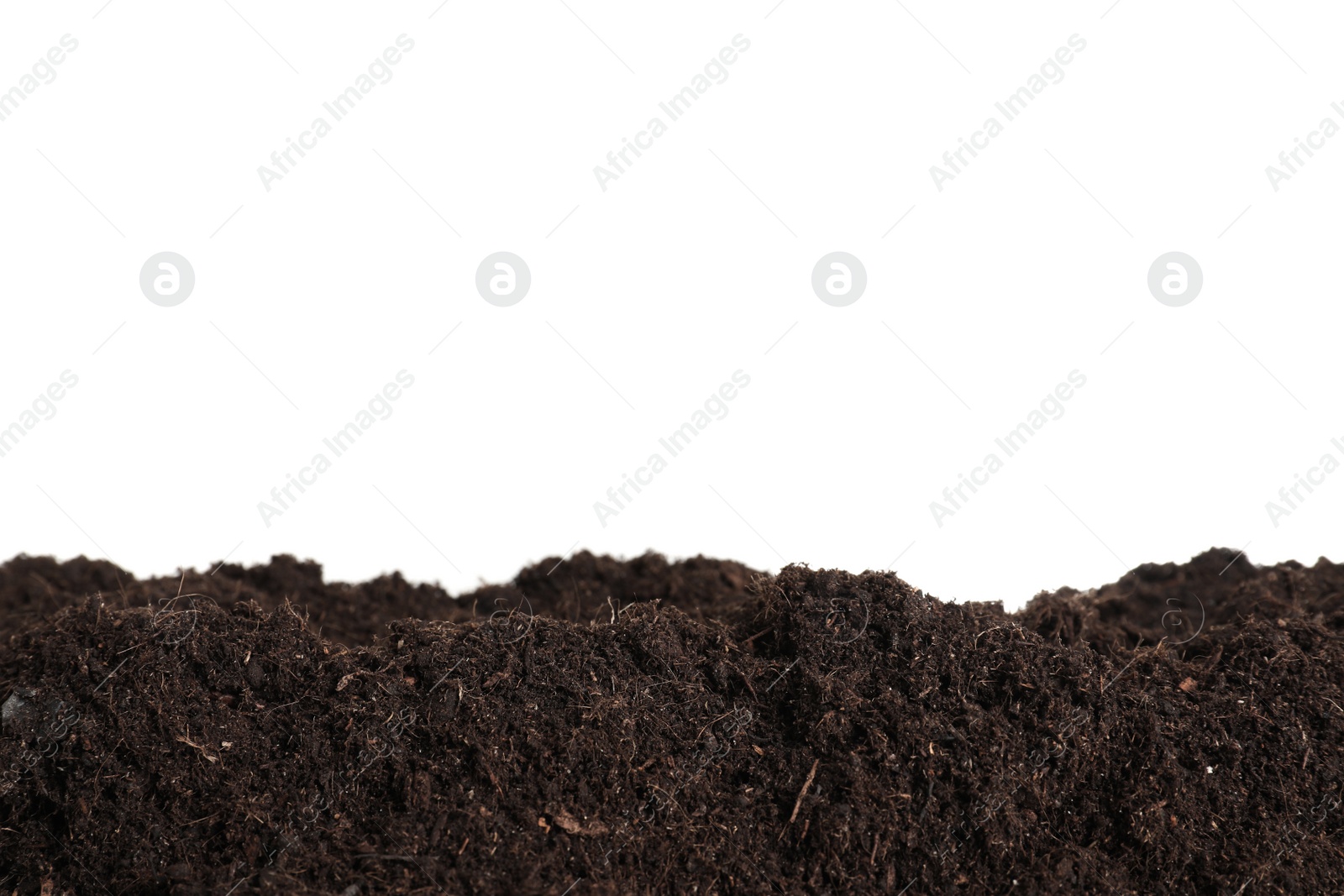 Photo of Layer of fresh soil isolated on white. Gardening time