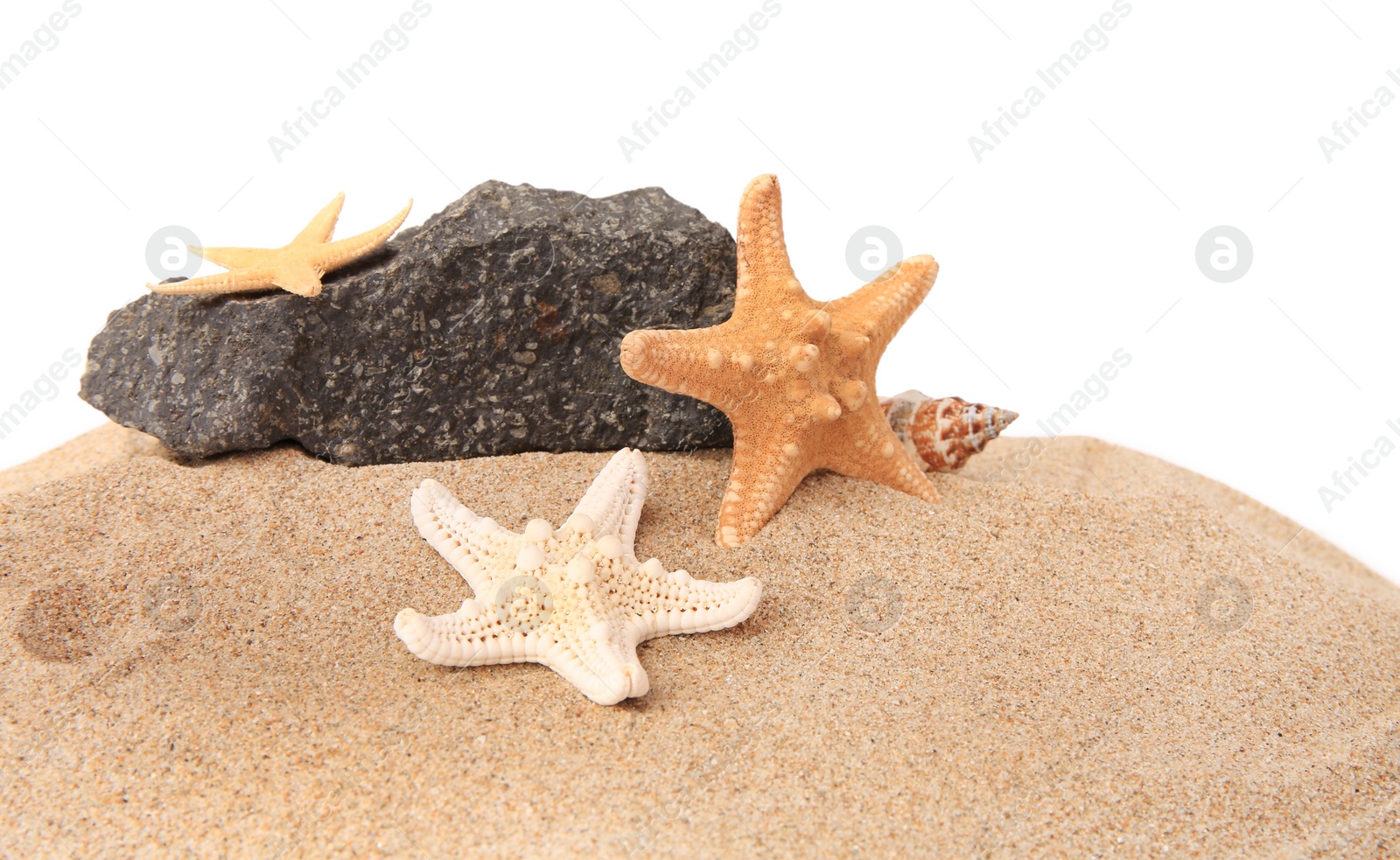 Photo of Sand with many beautiful sea stars, seashell and stone isolated on white