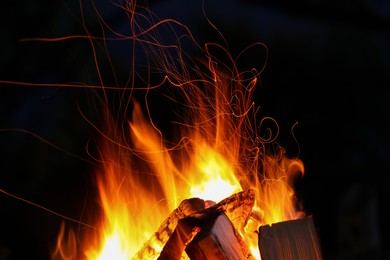 Beautiful bright bonfire with burning wood outdoors at night