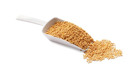 Scoop with mustard seeds on white background