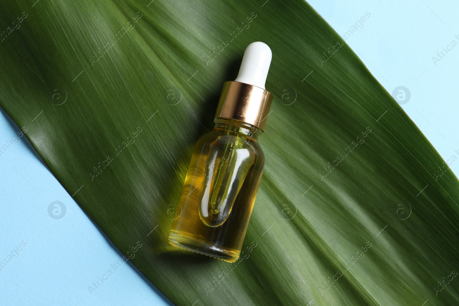 Photo of Bottle with cosmetic oil and green leaf on light blue background, top view