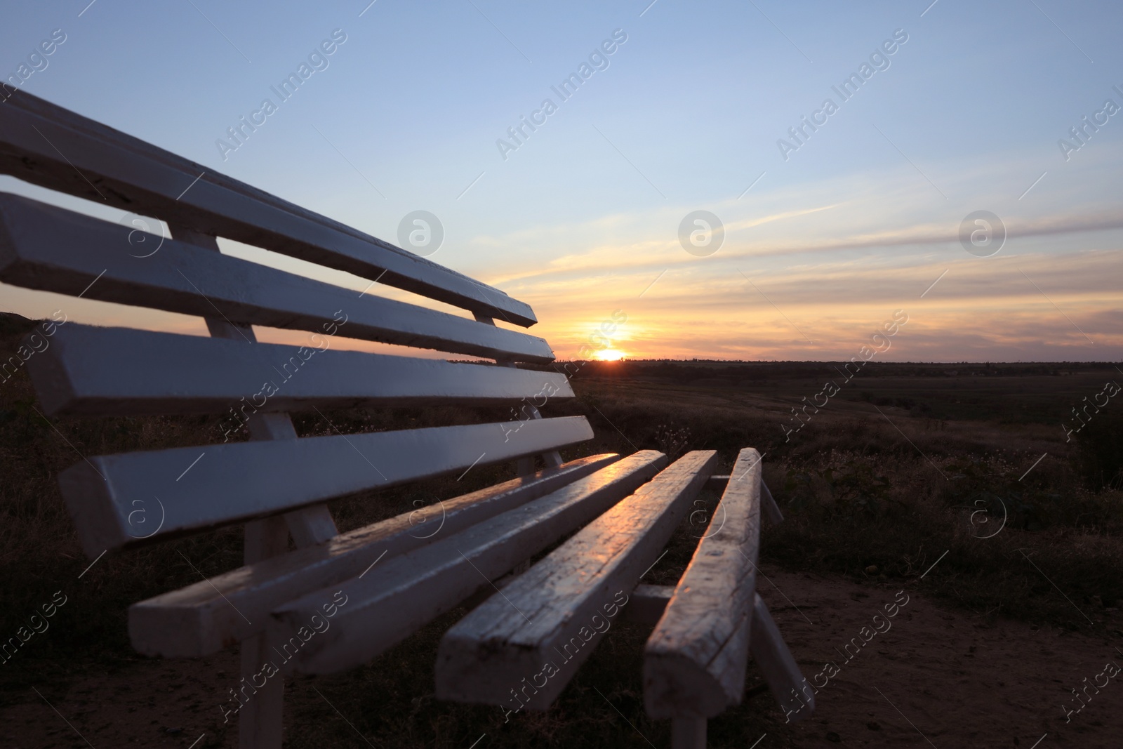 Photo of Wooden bench in field at sunrise, closeup. Early morning landscape