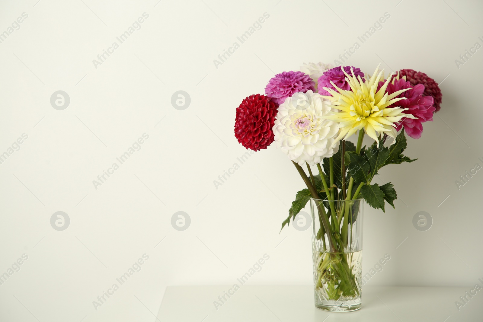 Bouquet of beautiful Dahlia flowers in vase on white table. Space for text Photo of Bouquet of beautiful Dahlia flowers in vase on white table. Space for text