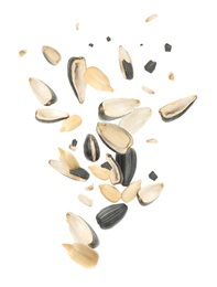 Image of Sunflower seeds with hull flying on white background 