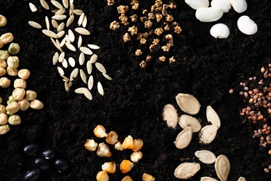 Photo of Different vegetable seeds on fertile soil, flat lay