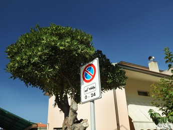 Photo of Beautiful green tree and post with No Waiting road sign on city street under blue sky