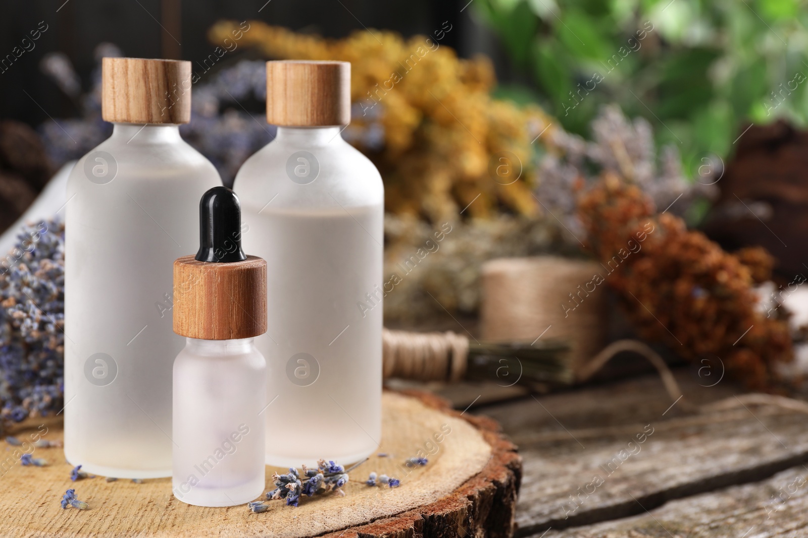 Photo of Bottles of essential oils and dry lavender flowers on wooden table, space for text. Medicinal herbs