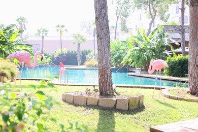 Photo of Luxury resort with outdoor swimming pool and decorative flamingo sculptures