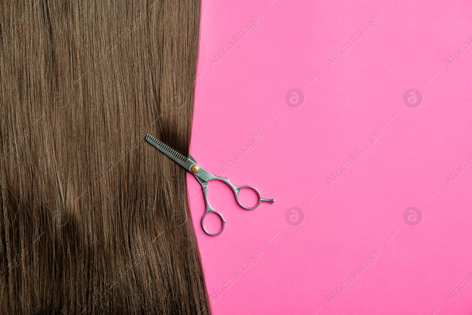 Photo of Flat lay composition with brown hair, scissors and space for text on color background