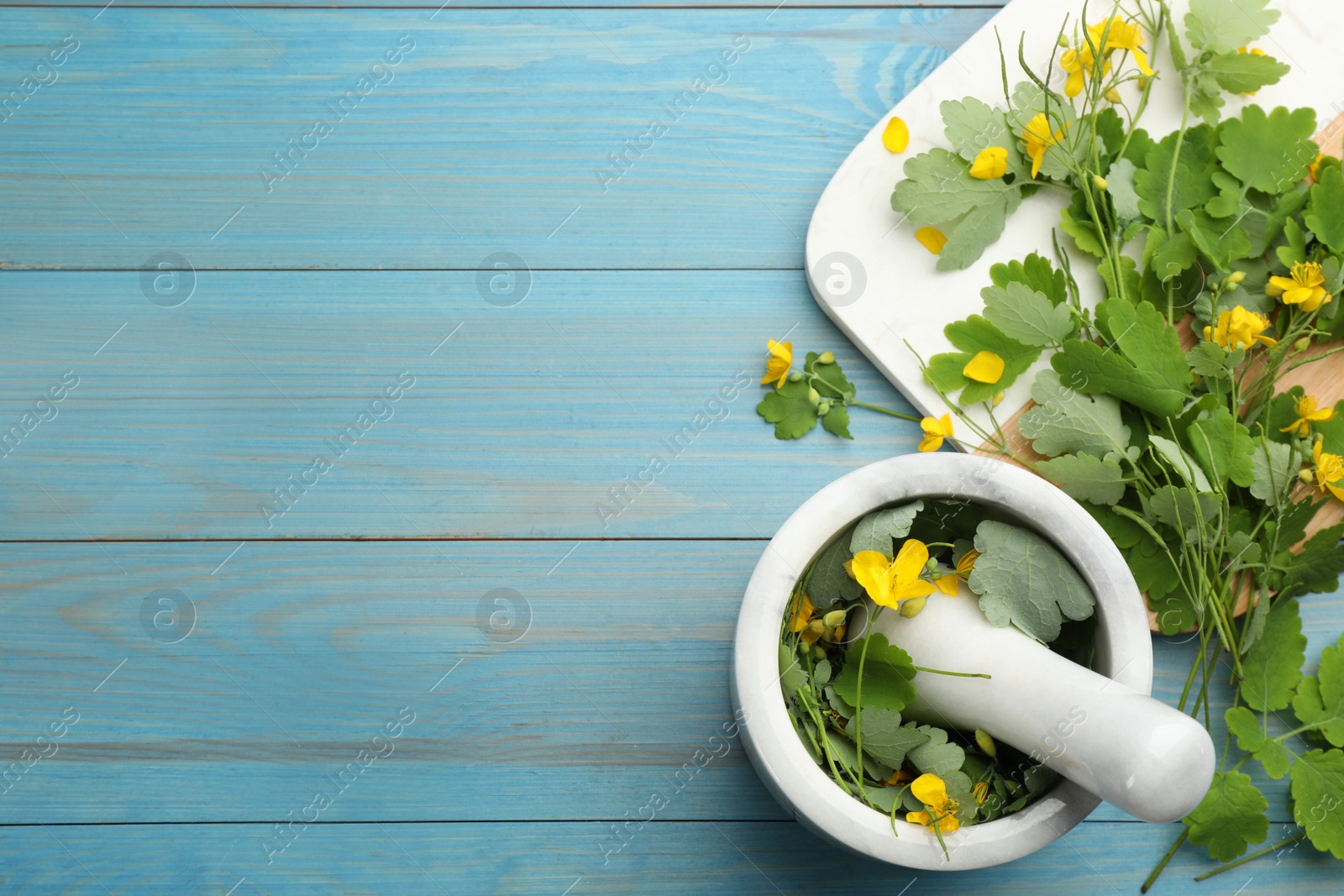 Photo of Celandine with mortar, pestle and board on light blue wooden table, flat lay. Space for text