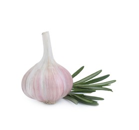 Fresh garlic bulb and rosemary isolated on white
