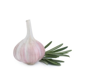 Photo of Fresh garlic bulb and rosemary isolated on white