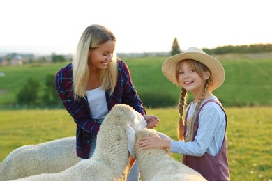 Photo of Mother and daughter feeding sheep on pasture. Farm animals