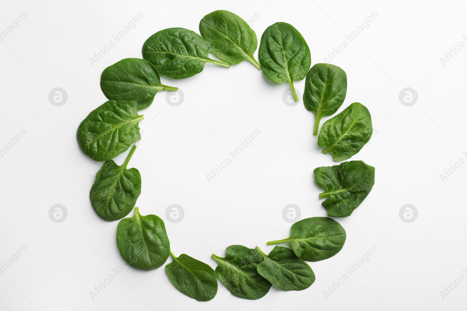 Photo of Frame made of spinach leaves on white background, top view. Space for text