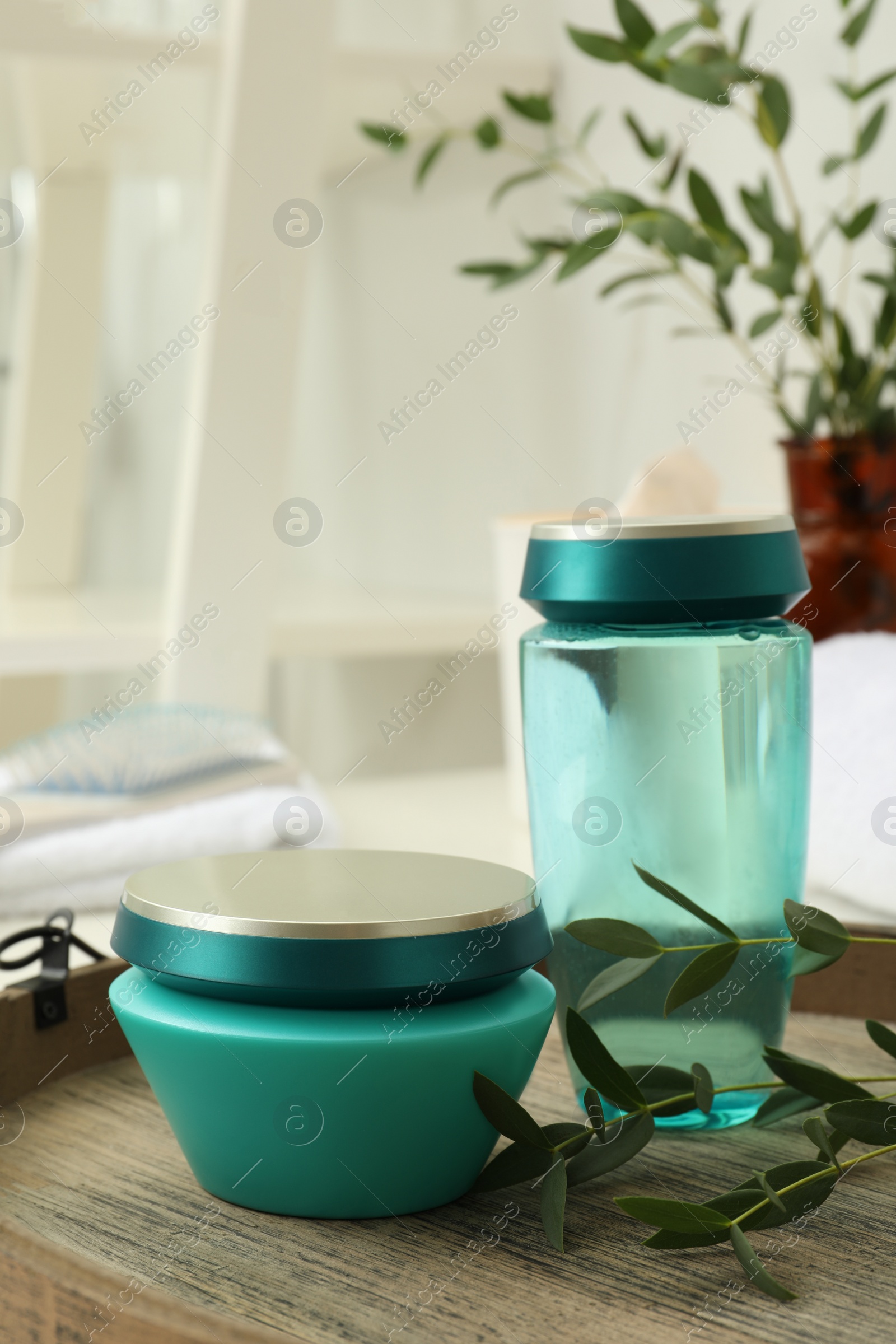 Photo of Hair care cosmetic products and green leaves on wooden tray indoors