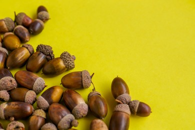 Photo of Many acorns on yellow background. Space for text