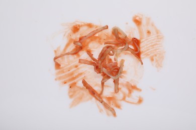 Smear of sauce and pasta on white background, top view