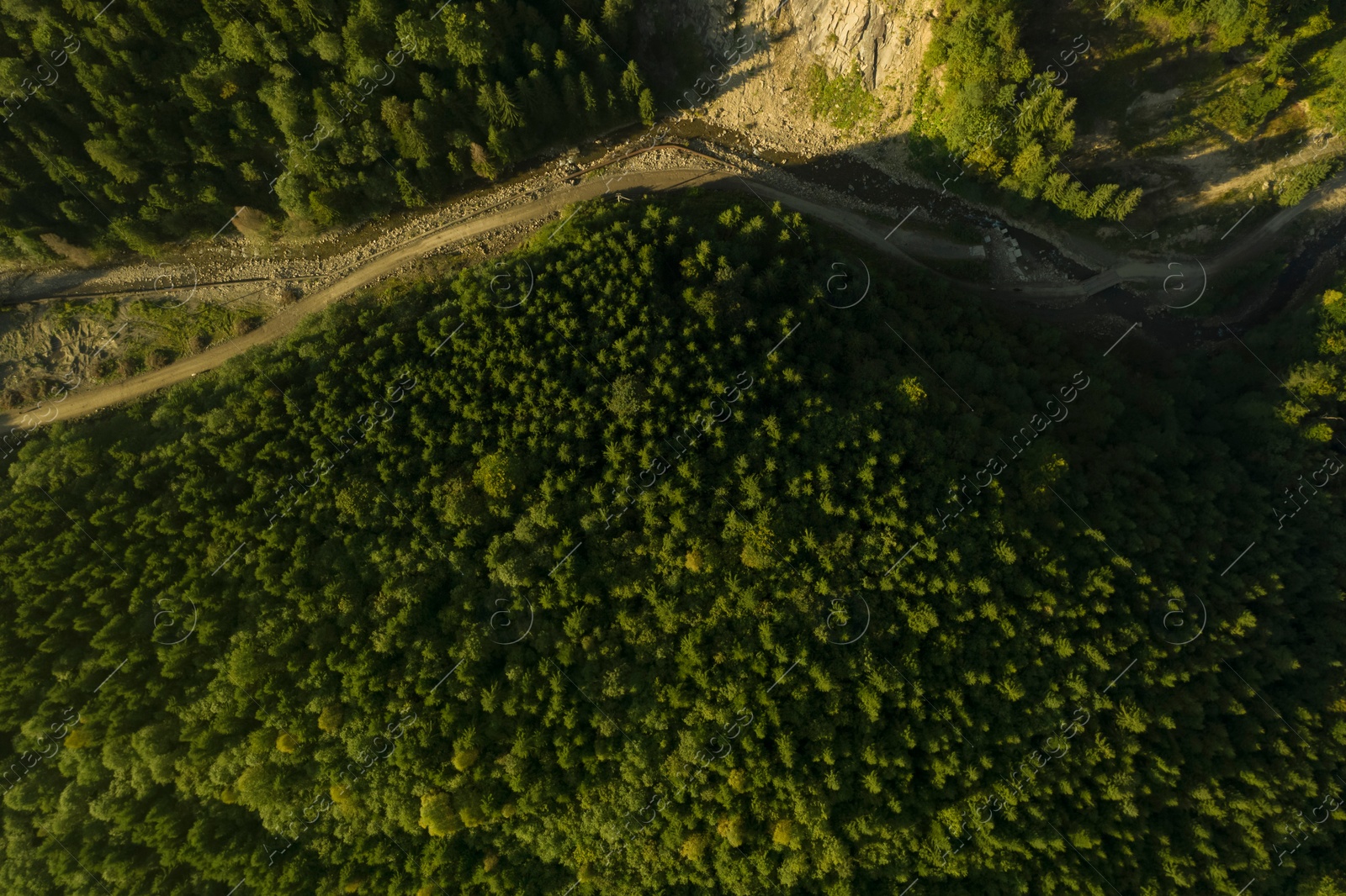 Image of Aerial view of beautiful forest with conifer trees, river and pathway on sunny day