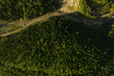 Image of Aerial view of beautiful forest with conifer trees, river and pathway on sunny day