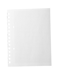 Blank notebook paper isolated on white. Space for design