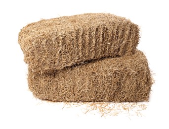 Bales of dried straw isolated on white