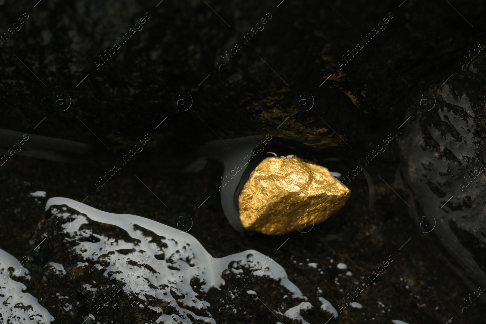 Photo of Shiny gold nugget on wet stone, top view. Space for text