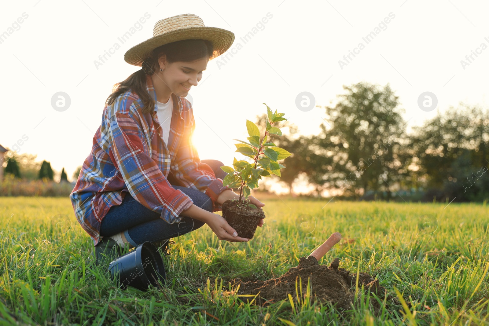 Photo of Young woman planting tree in countryside, space for text