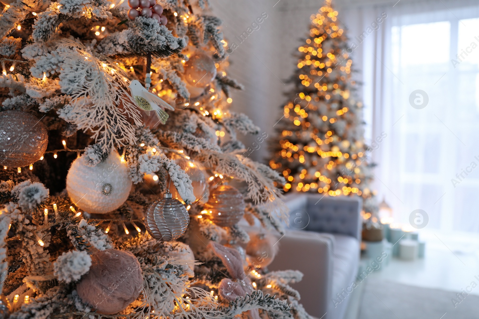 Photo of Christmas tree branch with balls indoors, closeup. Festive interior decoration