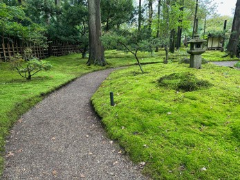 Photo of Bright moss, different plants and stone lantern near pathway in Japanese garden