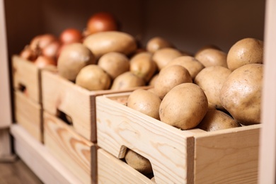 Photo of Crates with potatoes on shelf, closeup. Orderly storage