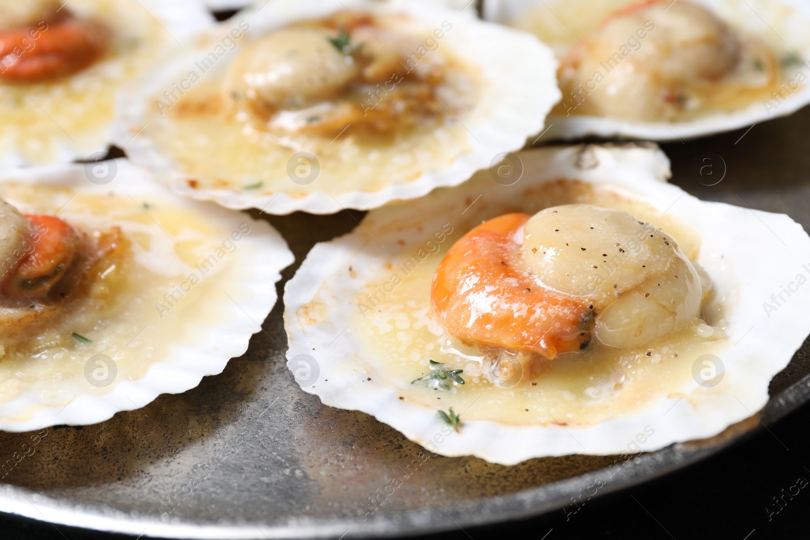 Photo of Fried scallops in shells on plate, closeup