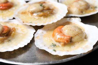 Fried scallops in shells on plate, closeup