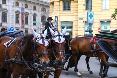 Photo of VIENNA, AUSTRIA - APRIL 26, 2019: Horse drawn carriages on city road