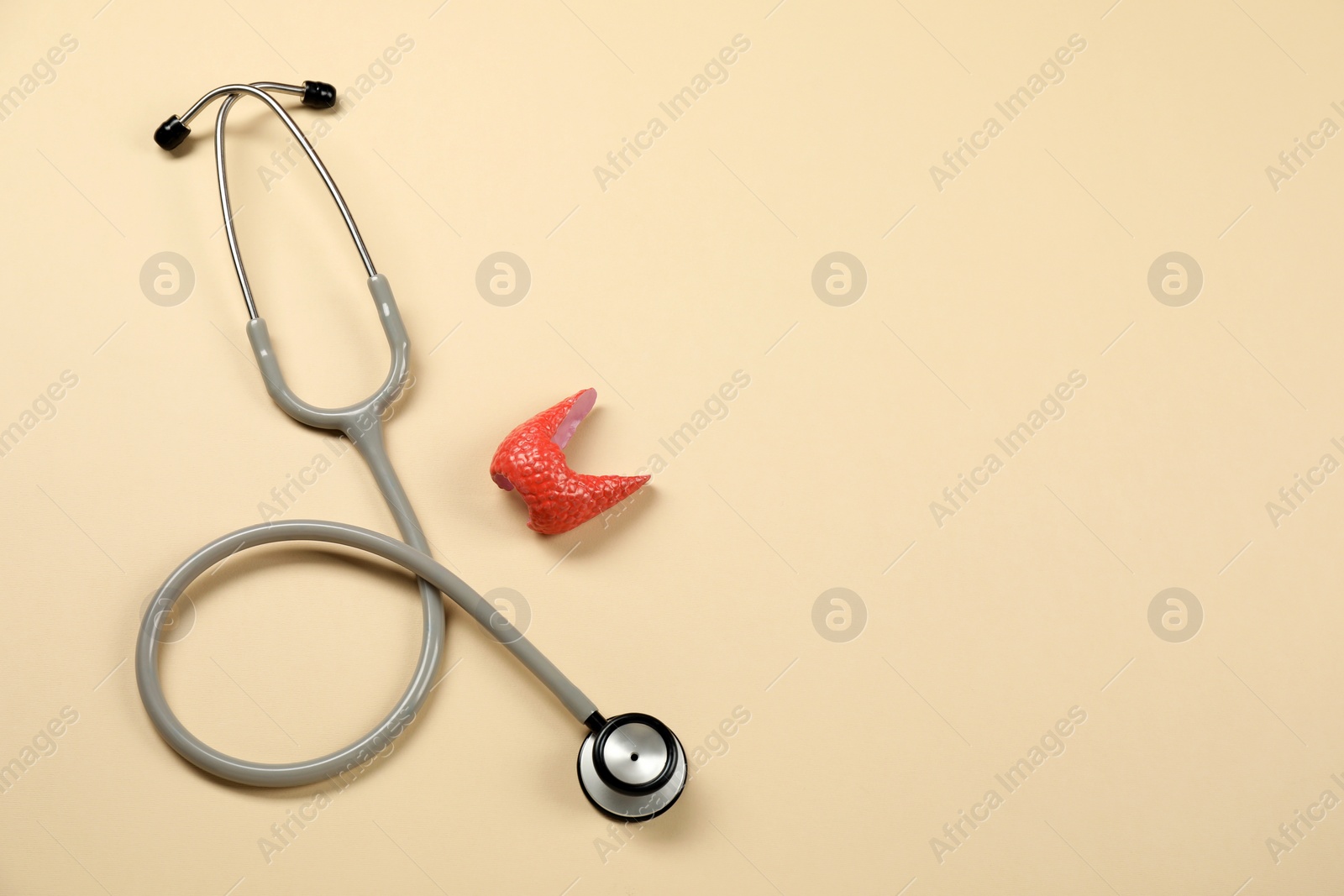 Photo of Endocrinology. Stethoscope and model of thyroid gland on beige background, top view. Space for text