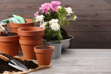 Photo of Time for transplanting. Many terracotta pots, soil, flowers and tools on white wooden table. Space for text