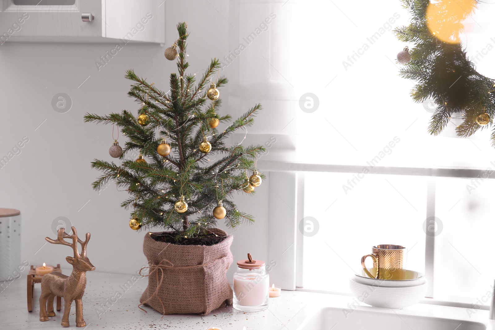 Photo of Small Christmas tree decorated with baubles and festive lights in kitchen