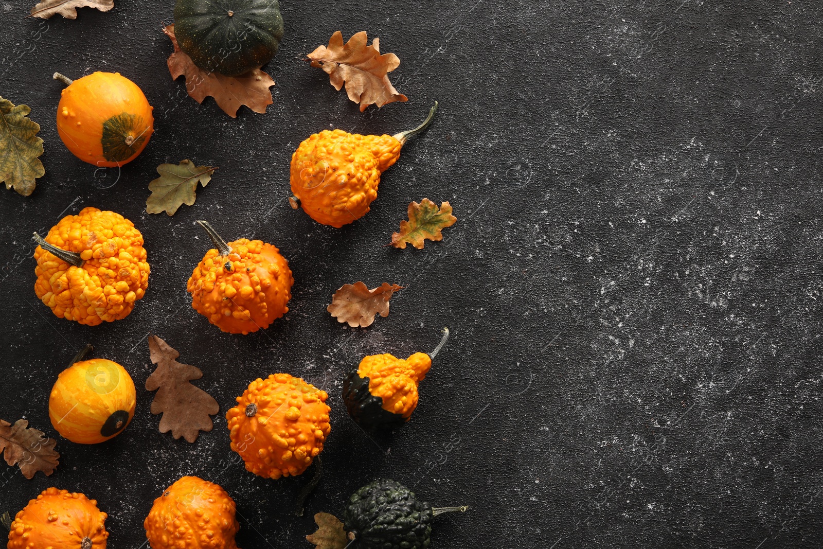 Photo of Different fresh ripe pumpkins and dry leaves on black textured table, flat lay. Space for text