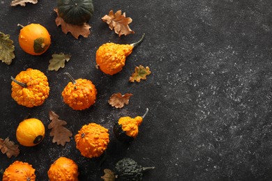 Photo of Different fresh ripe pumpkins and dry leaves on black textured table, flat lay. Space for text