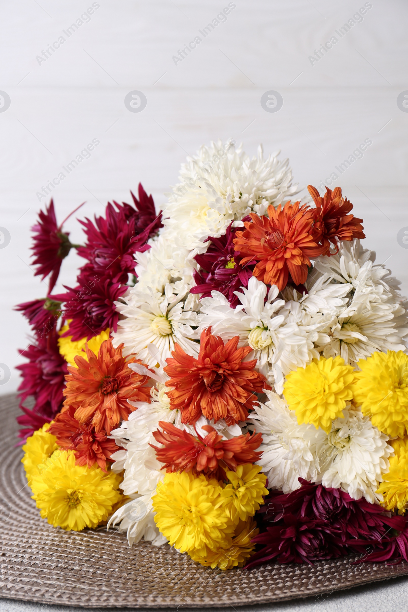 Photo of Many beautiful chrysanthemum flowers on wicker mat
